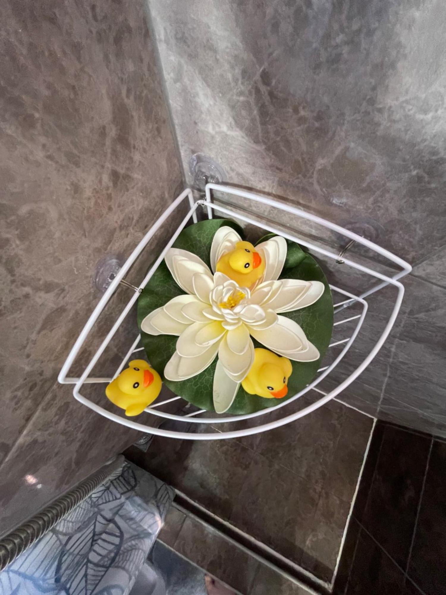 Apartment Maki Kotor Ngoại thất bức ảnh